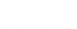 aveo flight academy Logo